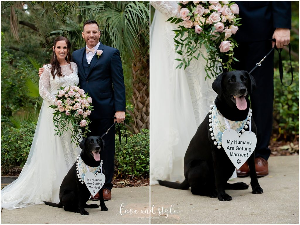Powel Crosley Estate Wedding photo of the bride and groom with their dog